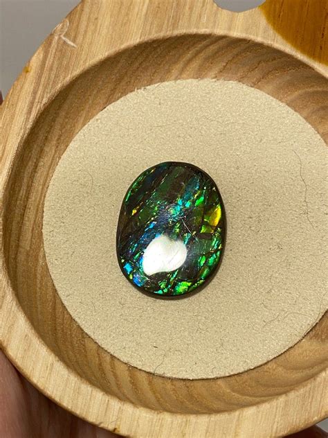 斑彩石招財|加拿大斑彩石 (Ammolite)產品及介紹 